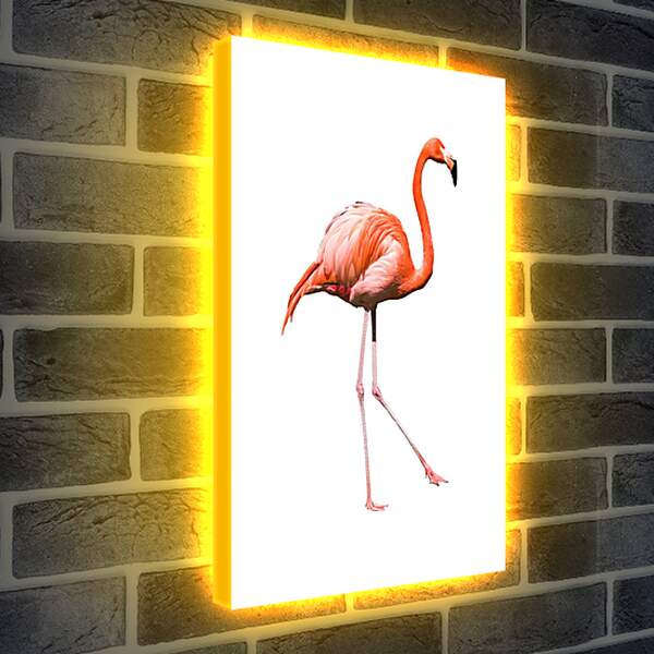 Лайтбокс световая панель - Фламинго
