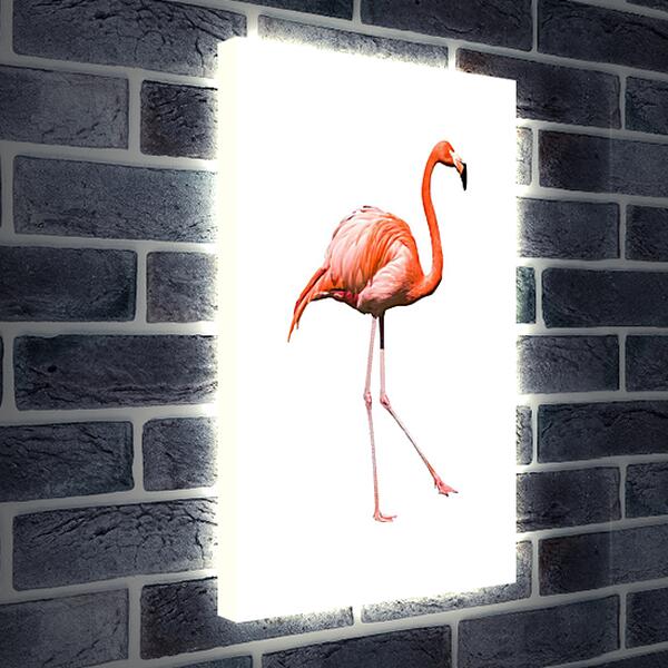 Лайтбокс световая панель - Фламинго
