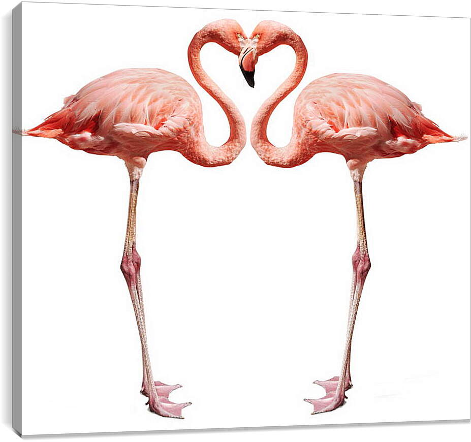 Постер и плакат - Сердце фламинго

