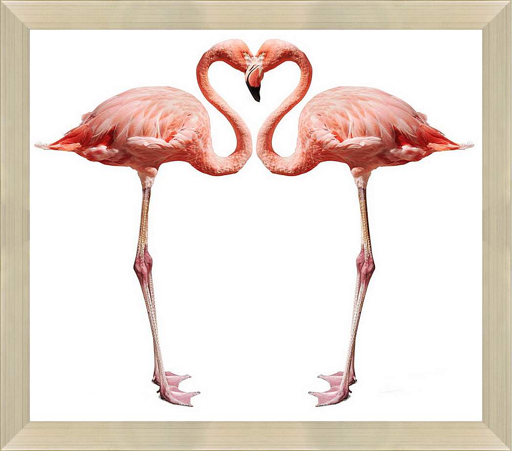 Картина в раме - Сердце фламинго
