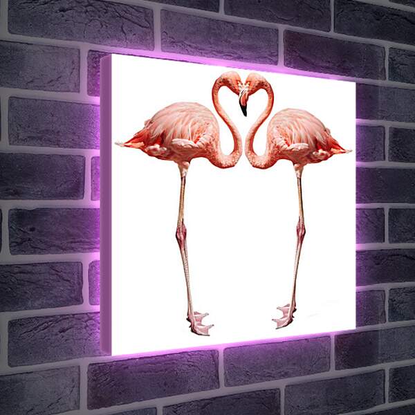 Лайтбокс световая панель - Сердце фламинго
