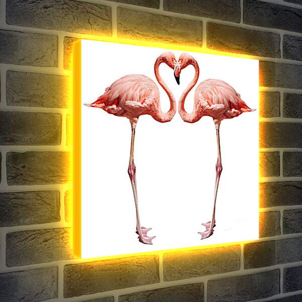 Лайтбокс световая панель - Сердце фламинго
