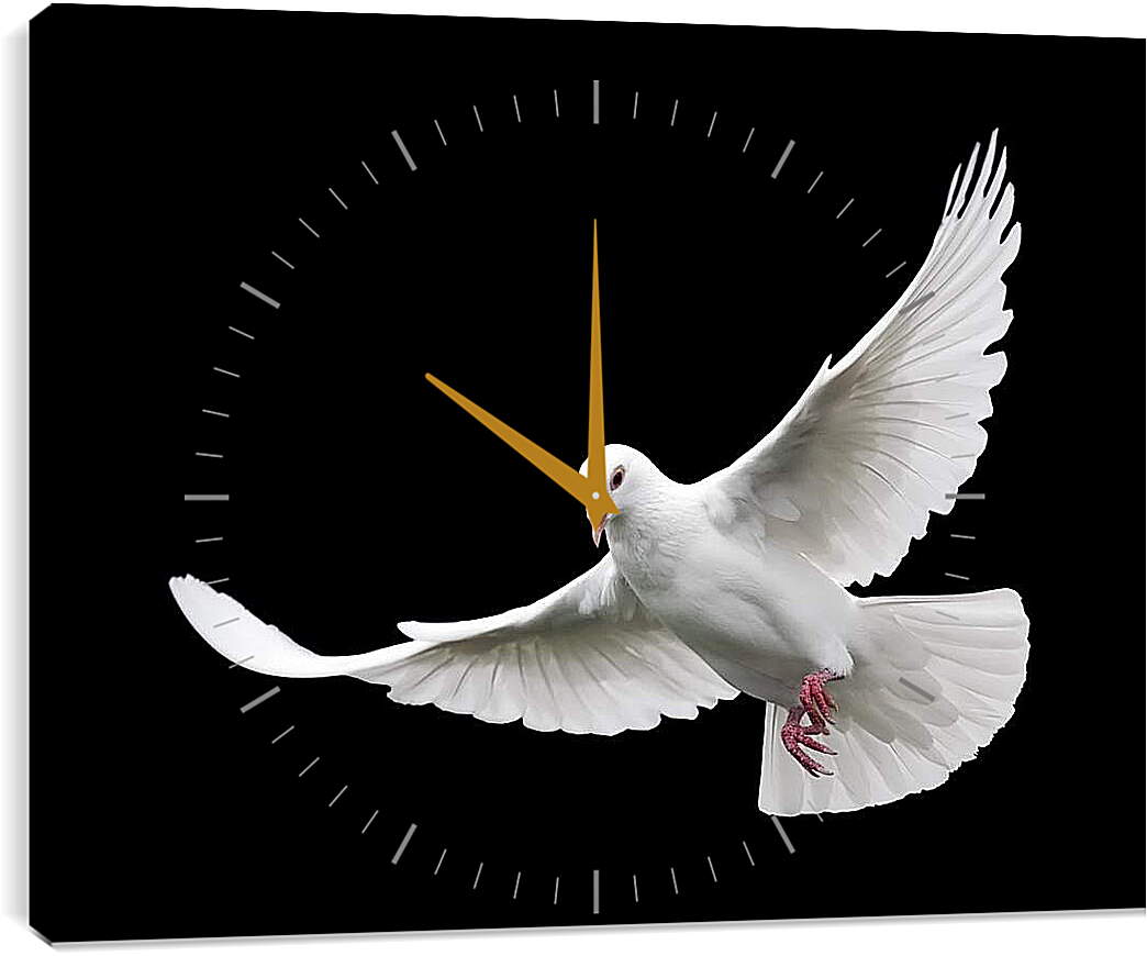 Часы картина - Белый голубь
