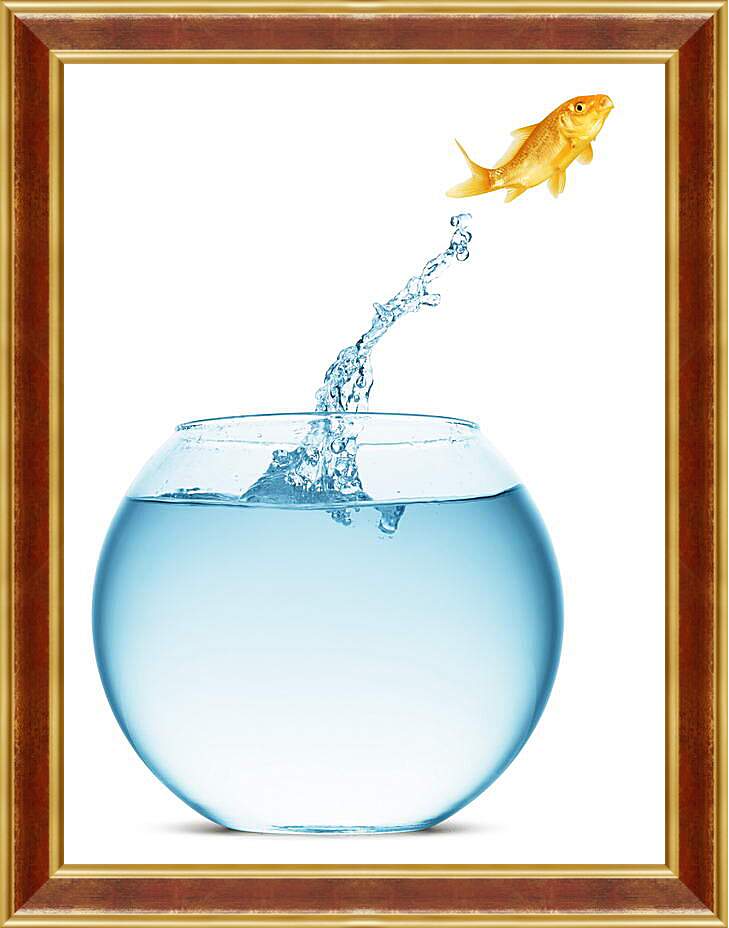 Картина в раме - Прыжок золотой рыбки
