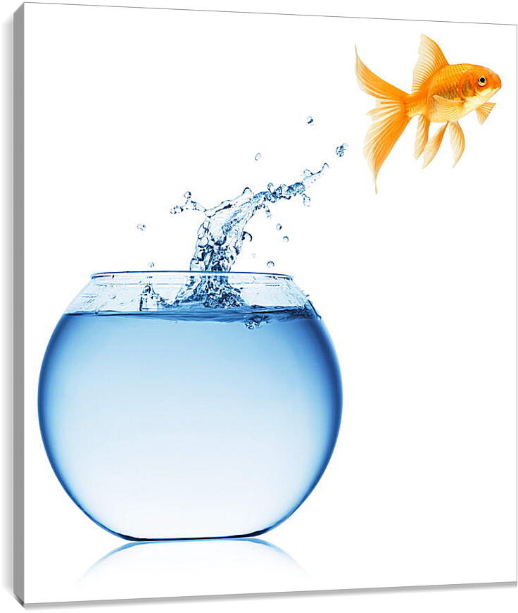 Постер и плакат - Рыбка прыгает из аквариума
