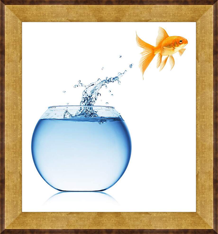 Картина в раме - Рыбка прыгает из аквариума
