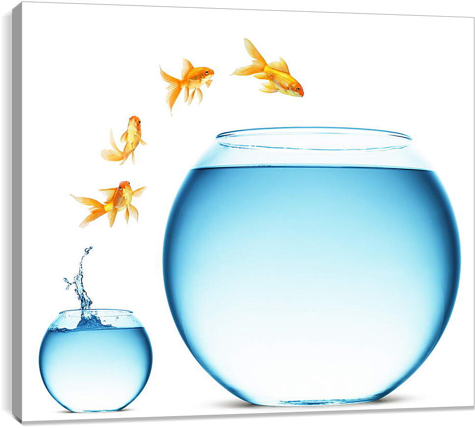 Постер и плакат - Рыбки прыгают в аквариум
