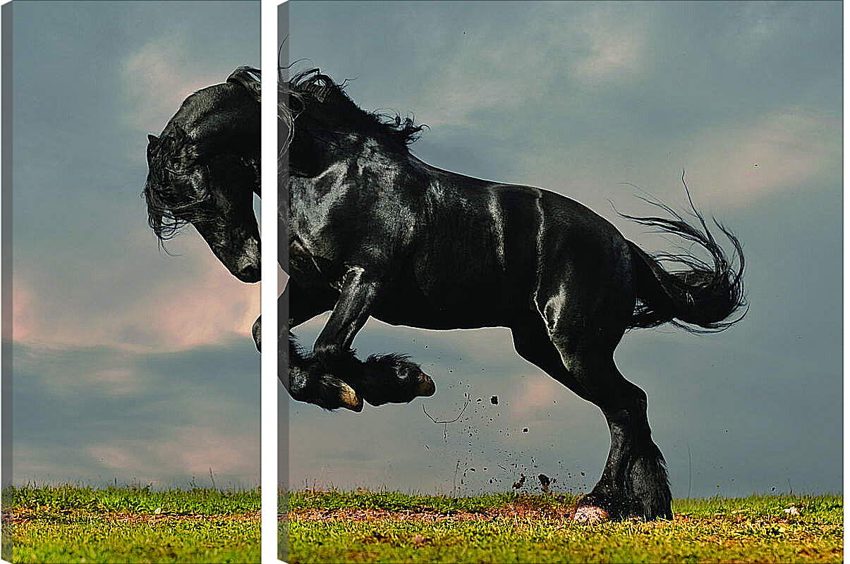 Модульная картина - Вороной конь
