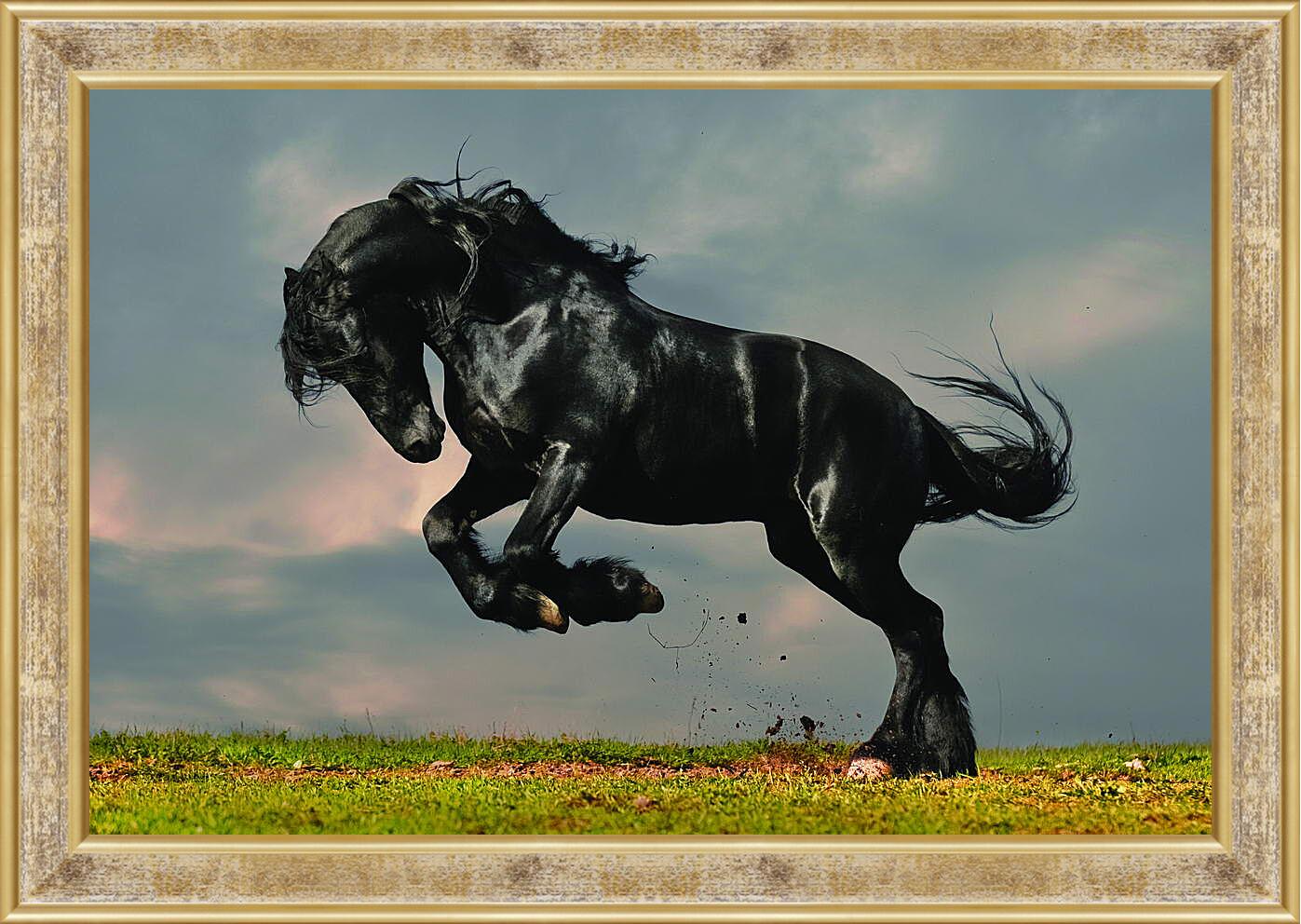 Картина в раме - Вороной конь
