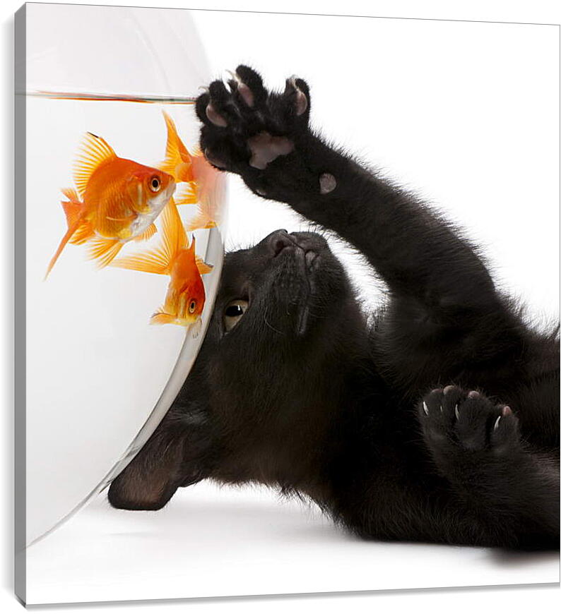 Постер и плакат - Котик и рыбка
