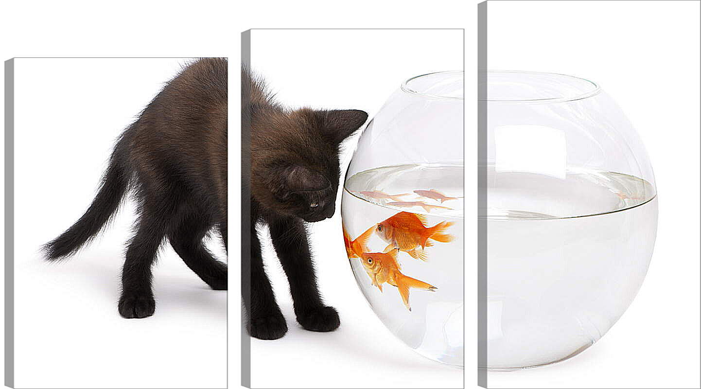 Модульная картина - Черный котик и рыбки
