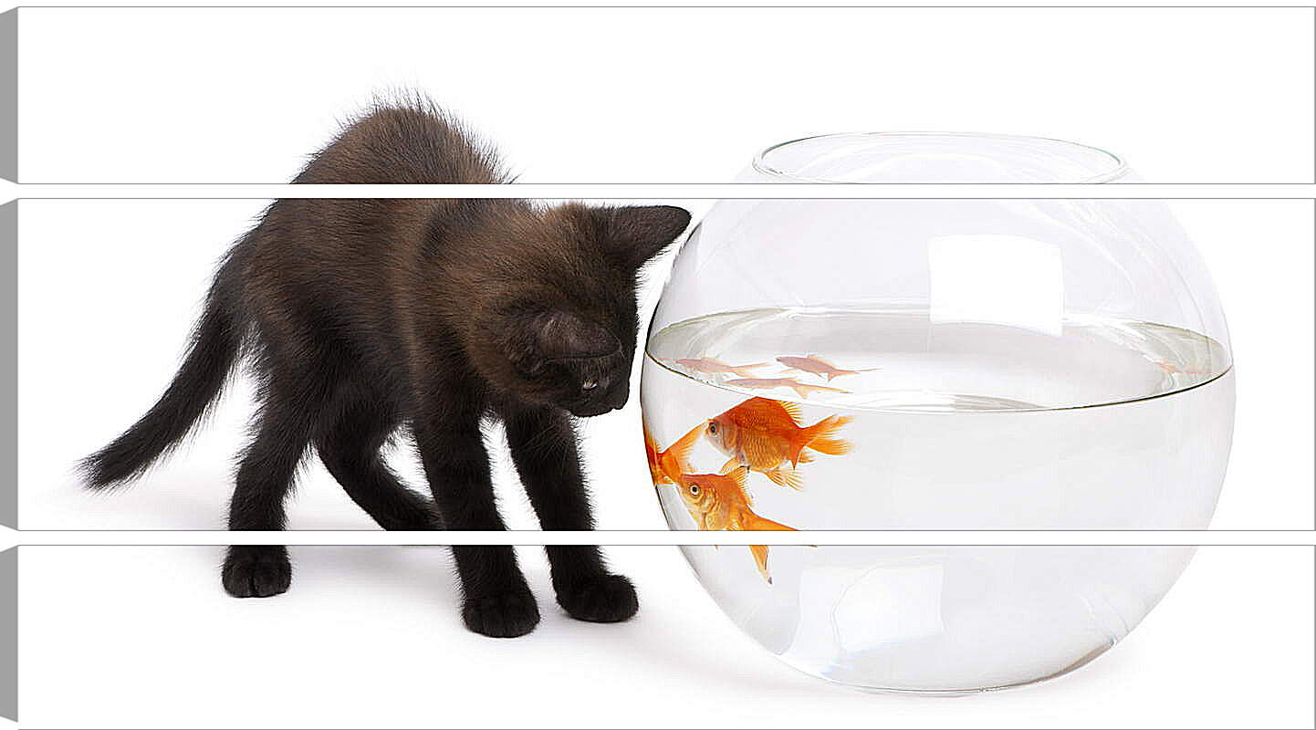 Модульная картина - Черный котик и рыбки
