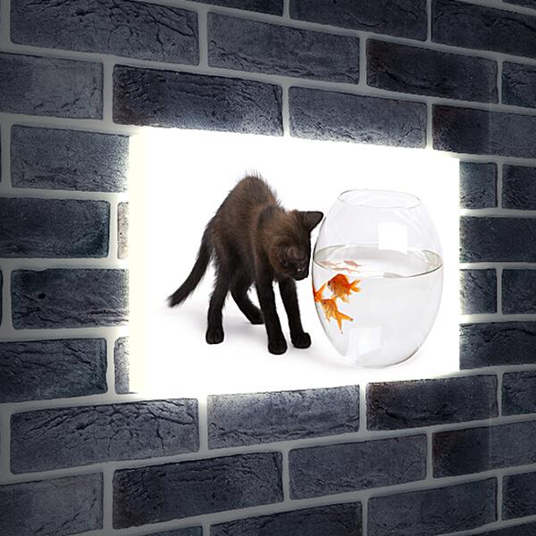 Лайтбокс световая панель - Черный котик и рыбки
