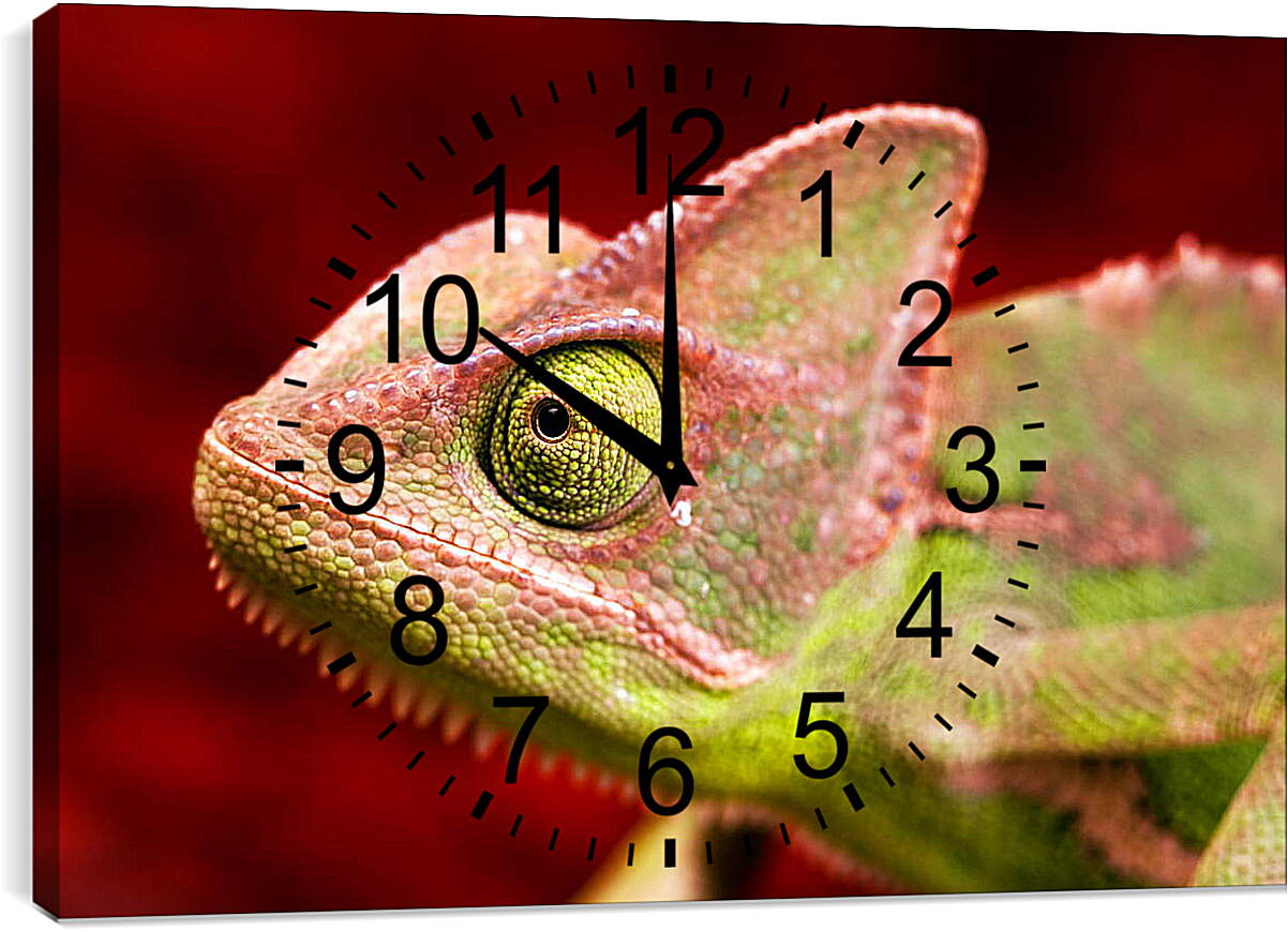Часы картина - Голова хамелеона
