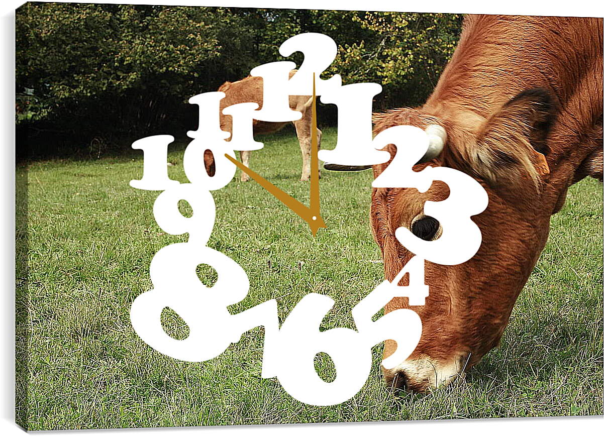 Часы картина - Коровы едят траву
