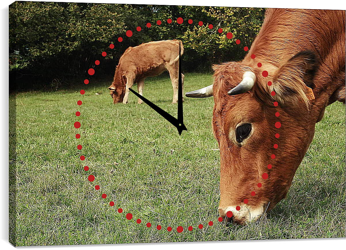 Часы картина - Коровы едят траву
