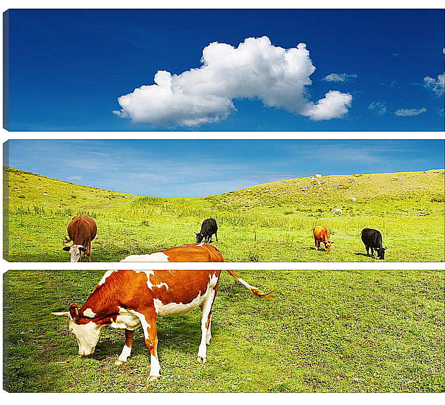 Модульная картина - Коровы на поле
