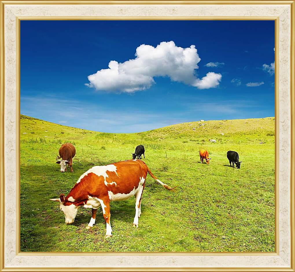Картина в раме - Коровы на поле
