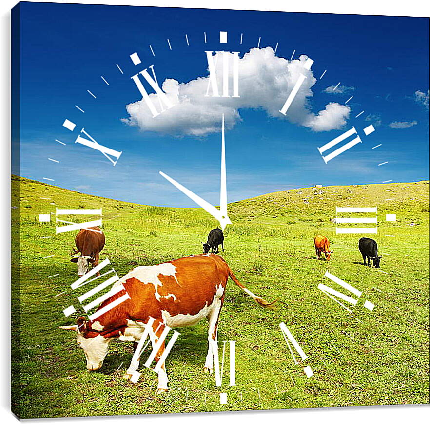 Часы картина - Коровы на поле
