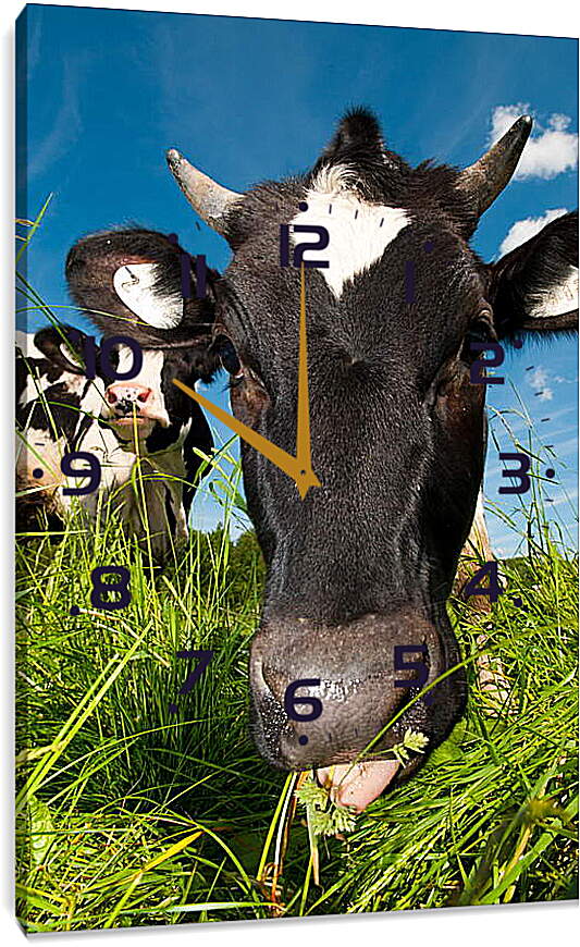 Часы картина - Коровушка
