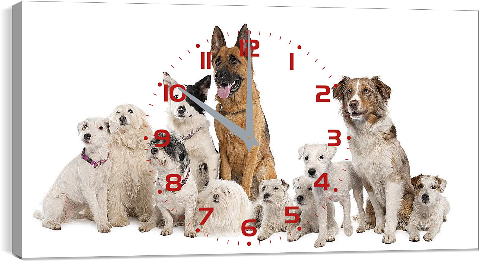 Часы картина - Собаки
