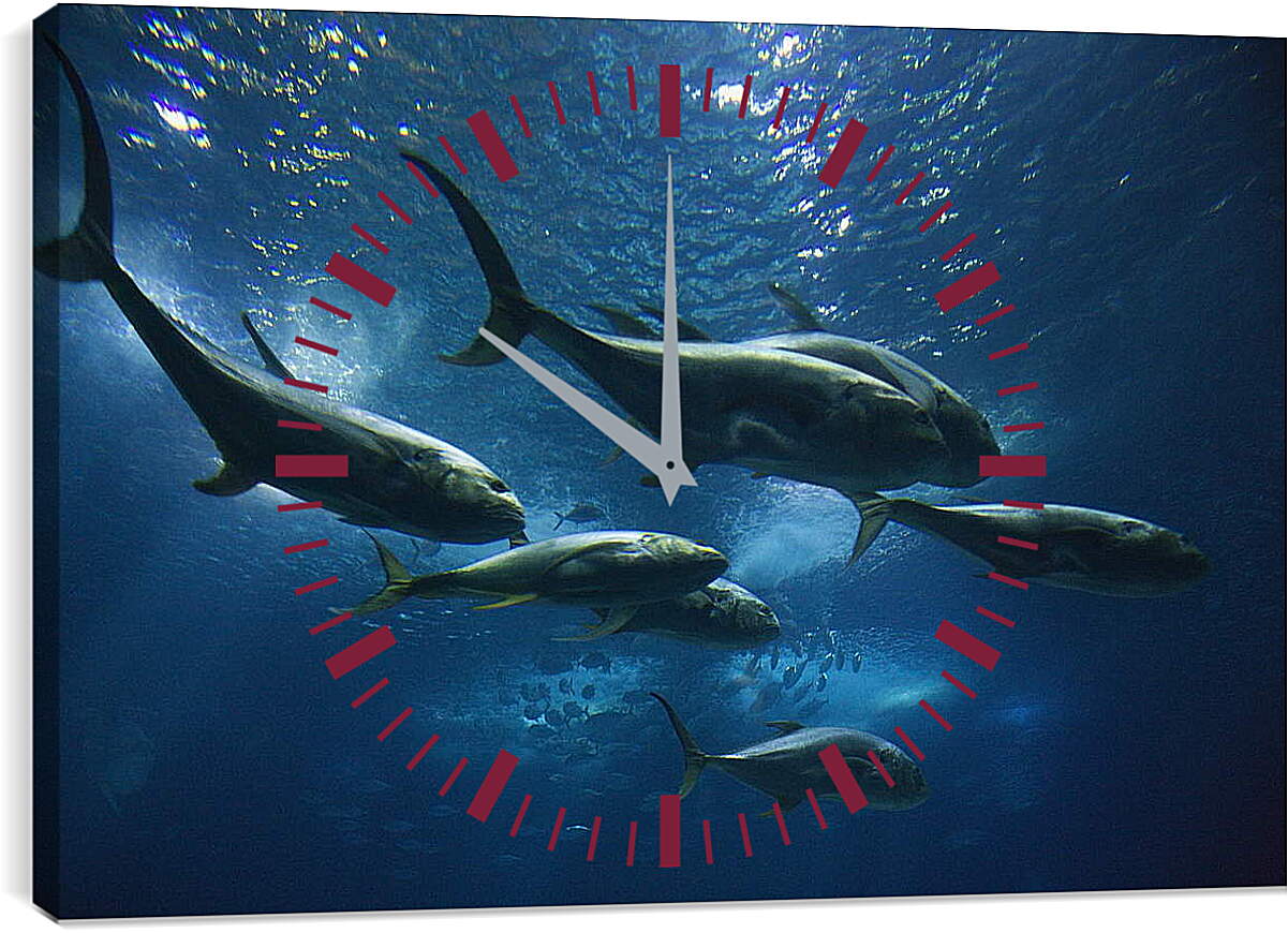 Часы картина - Подводный мир
