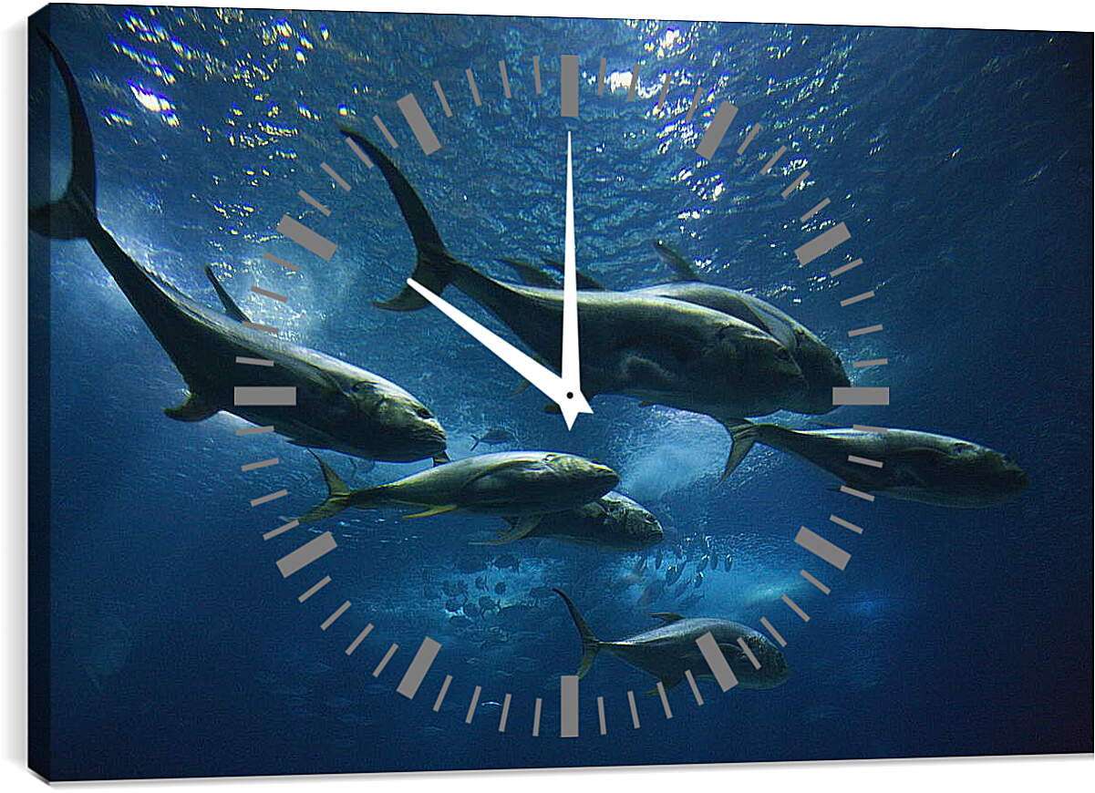 Часы картина - Подводный мир
