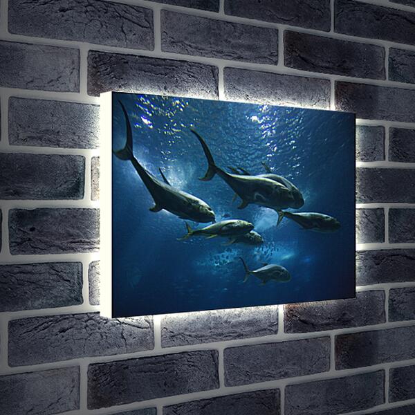Лайтбокс световая панель - Подводный мир
