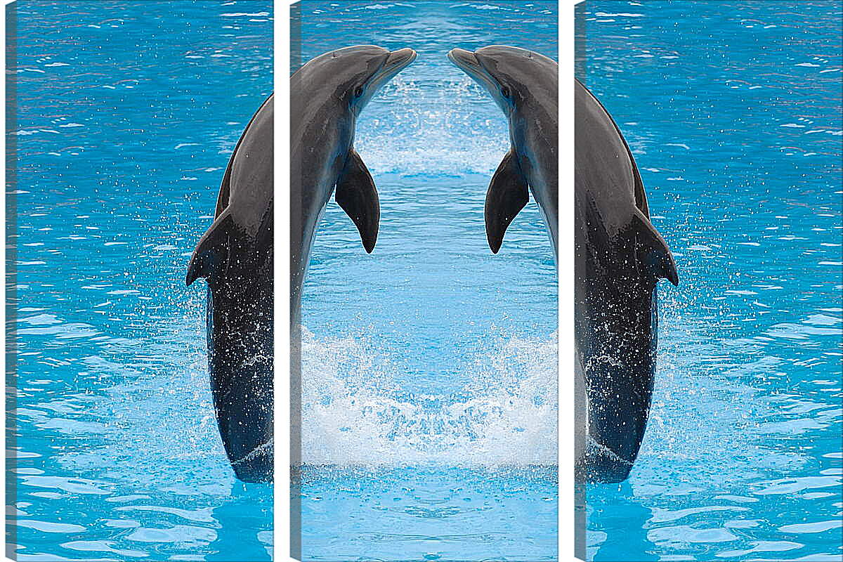 Модульная картина - Два дельфина
