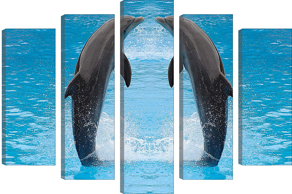 Модульная картина - Два дельфина
