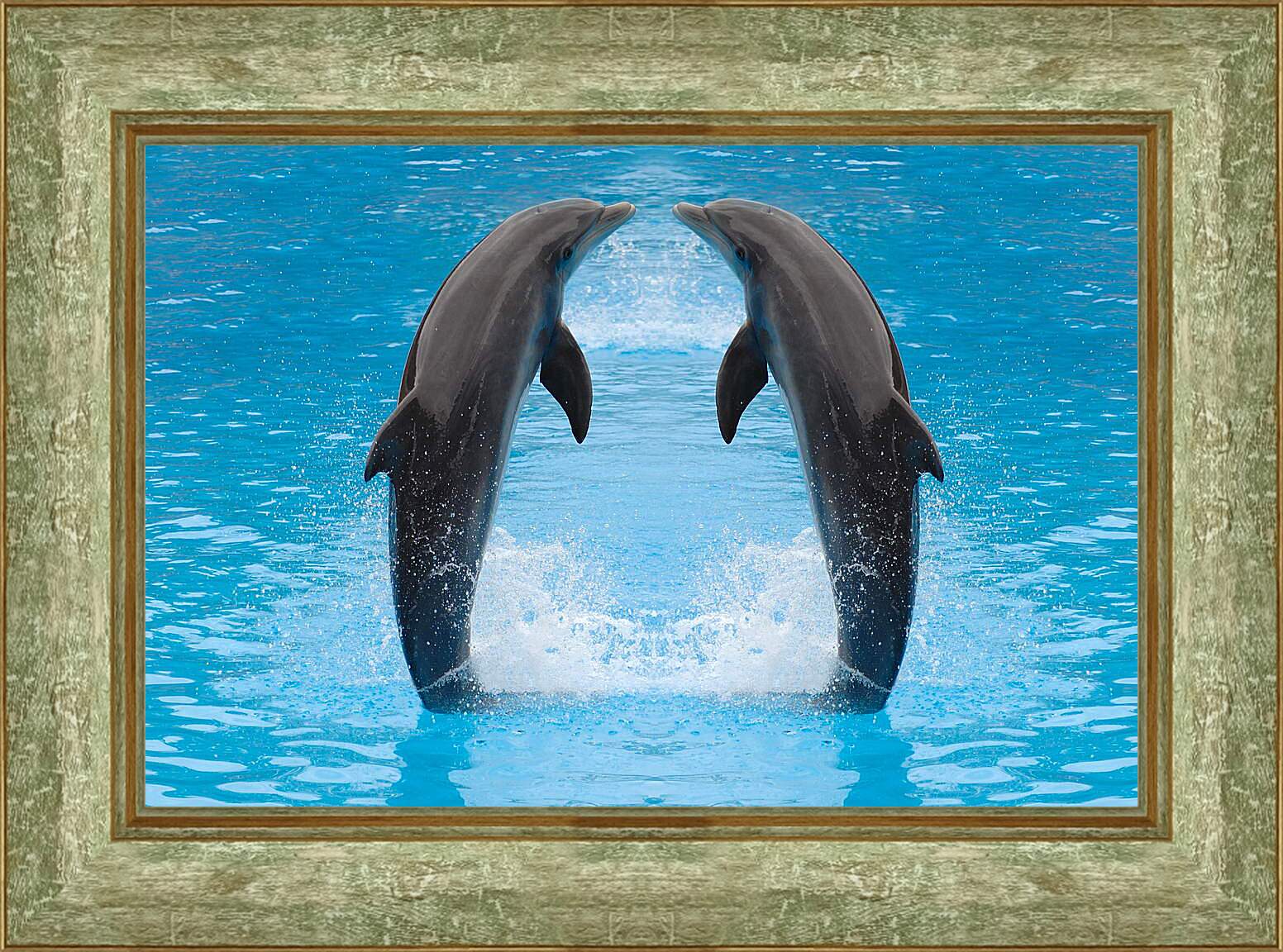 Картина в раме - Два дельфина
