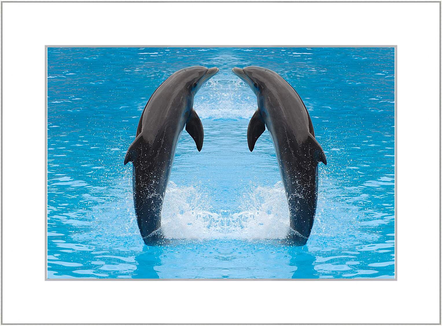 Картина в раме - Два дельфина
