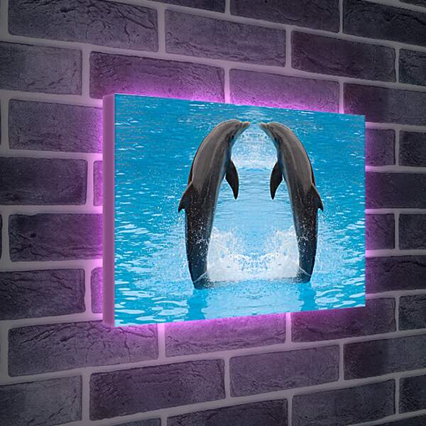 Лайтбокс световая панель - Два дельфина
