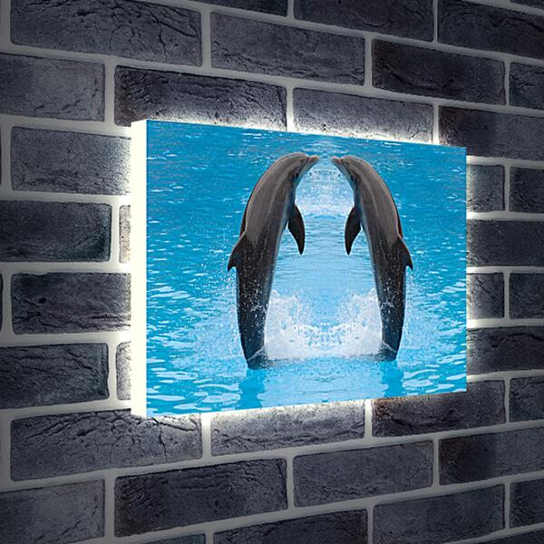 Лайтбокс световая панель - Два дельфина
