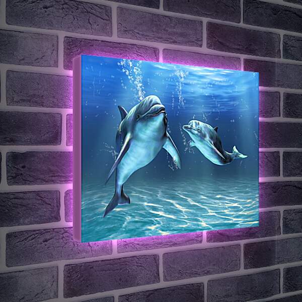 Лайтбокс световая панель - Иллюстрация дельфины
