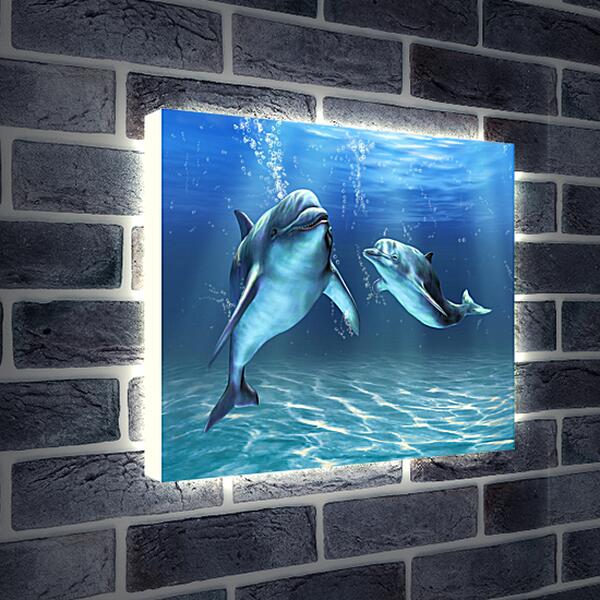 Лайтбокс световая панель - Иллюстрация дельфины
