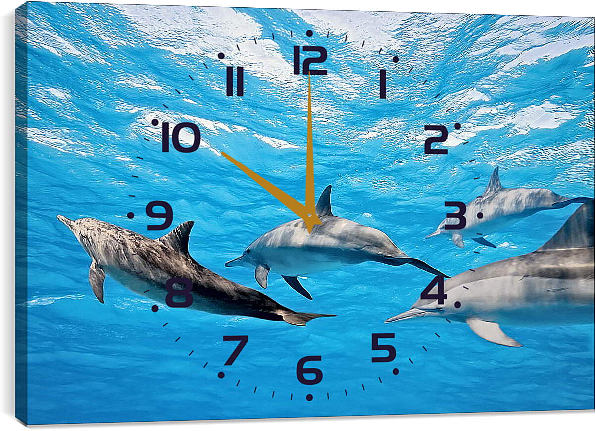 Часы картина - Семья дельфинов
