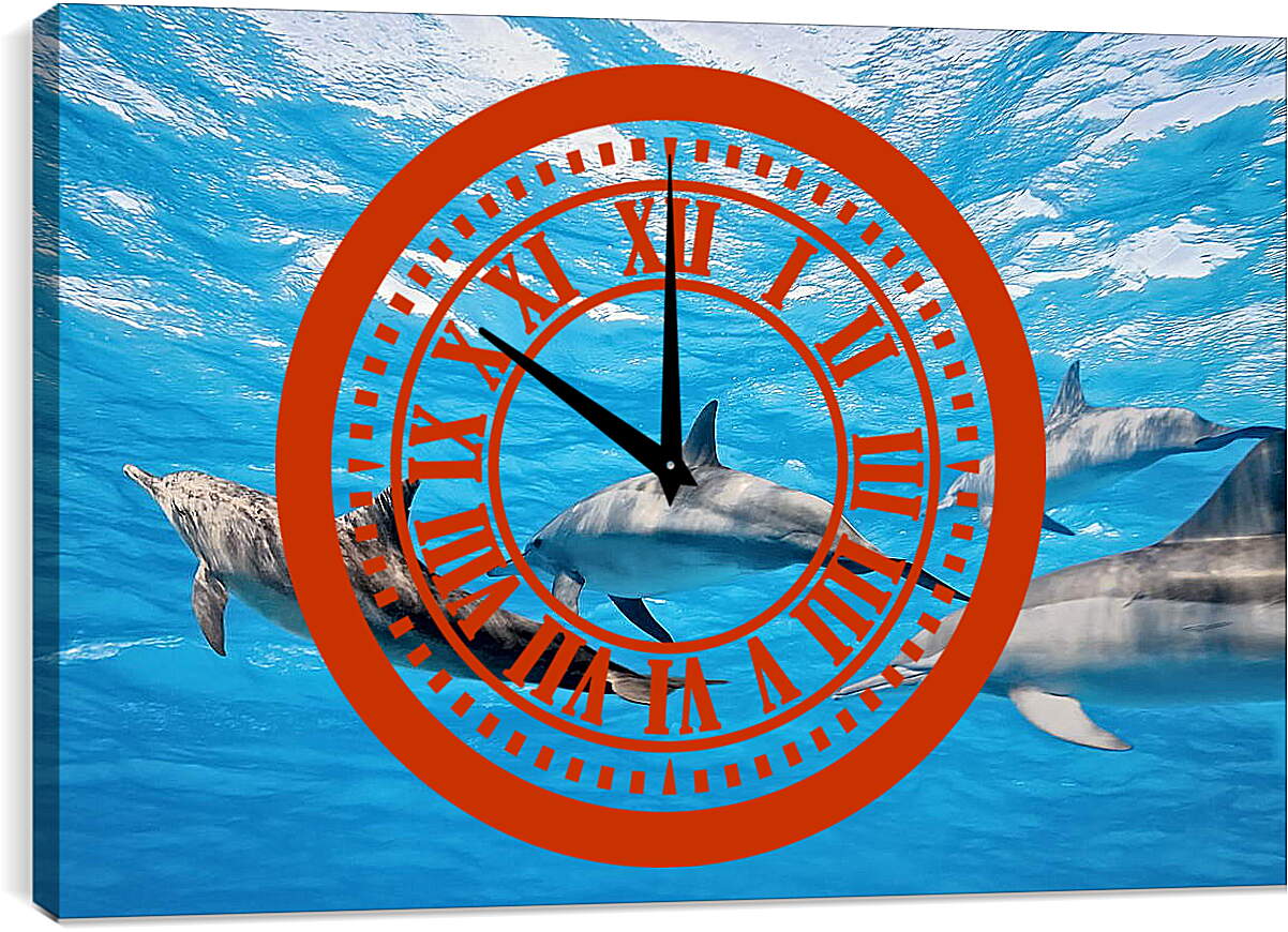 Часы картина - Семья дельфинов
