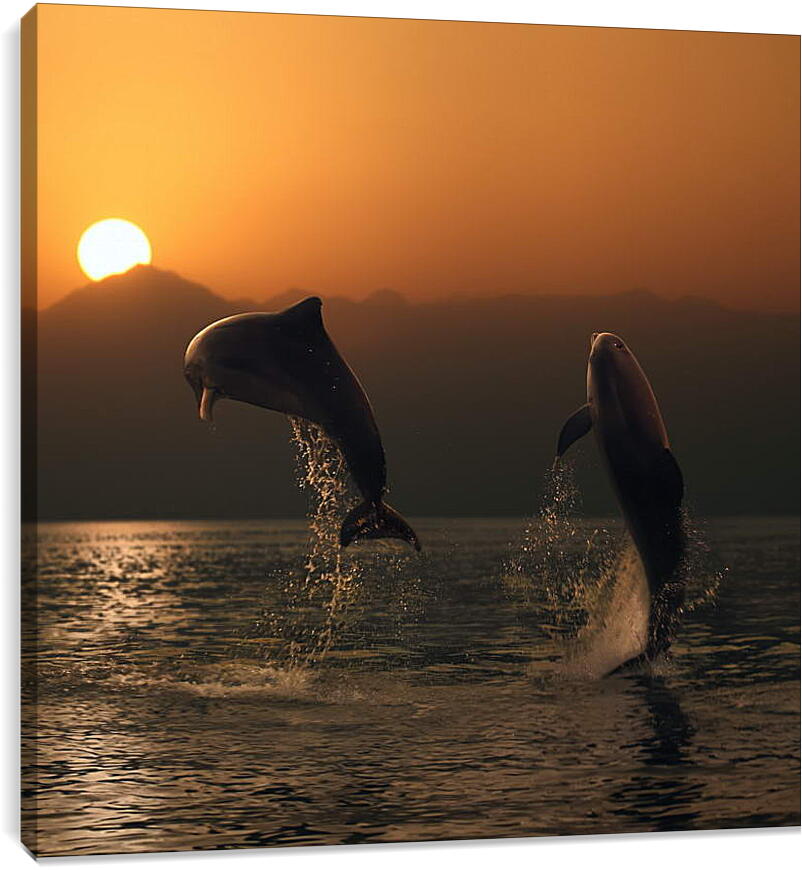 Постер и плакат - Дельфины в закате
