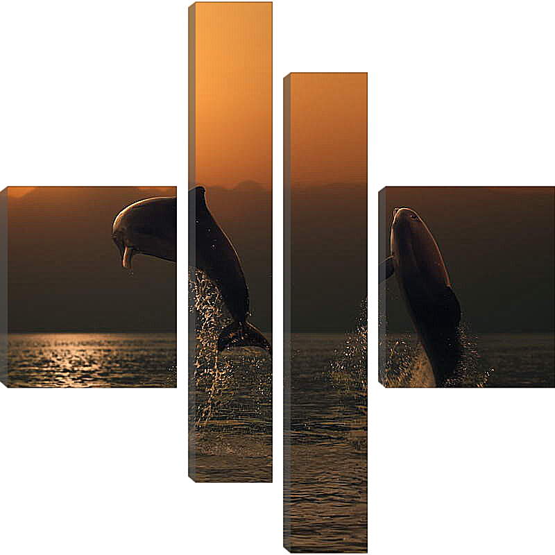 Модульная картина - Дельфины в закате
