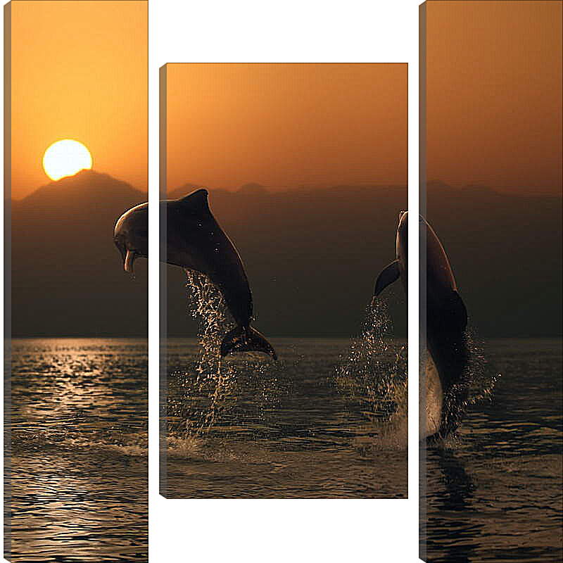 Модульная картина - Дельфины в закате

