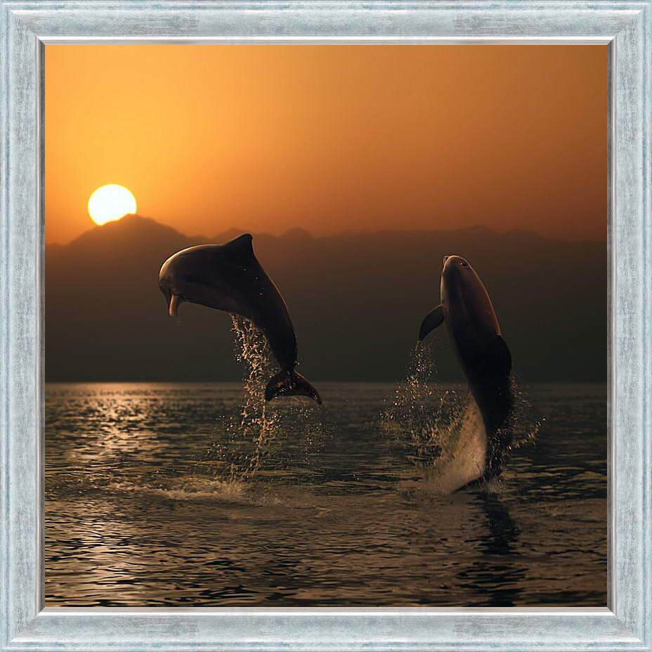 Картина в раме - Дельфины в закате
