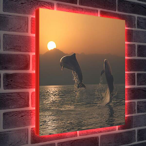 Лайтбокс световая панель - Дельфины в закате
