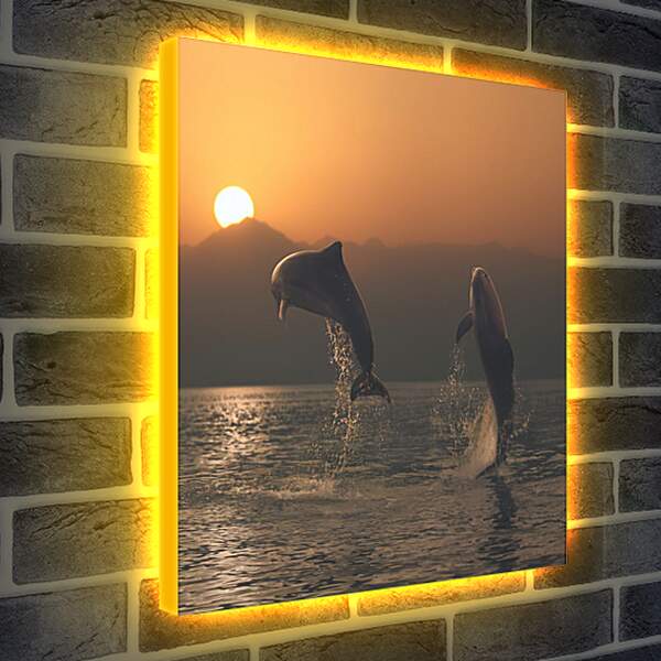 Лайтбокс световая панель - Дельфины в закате
