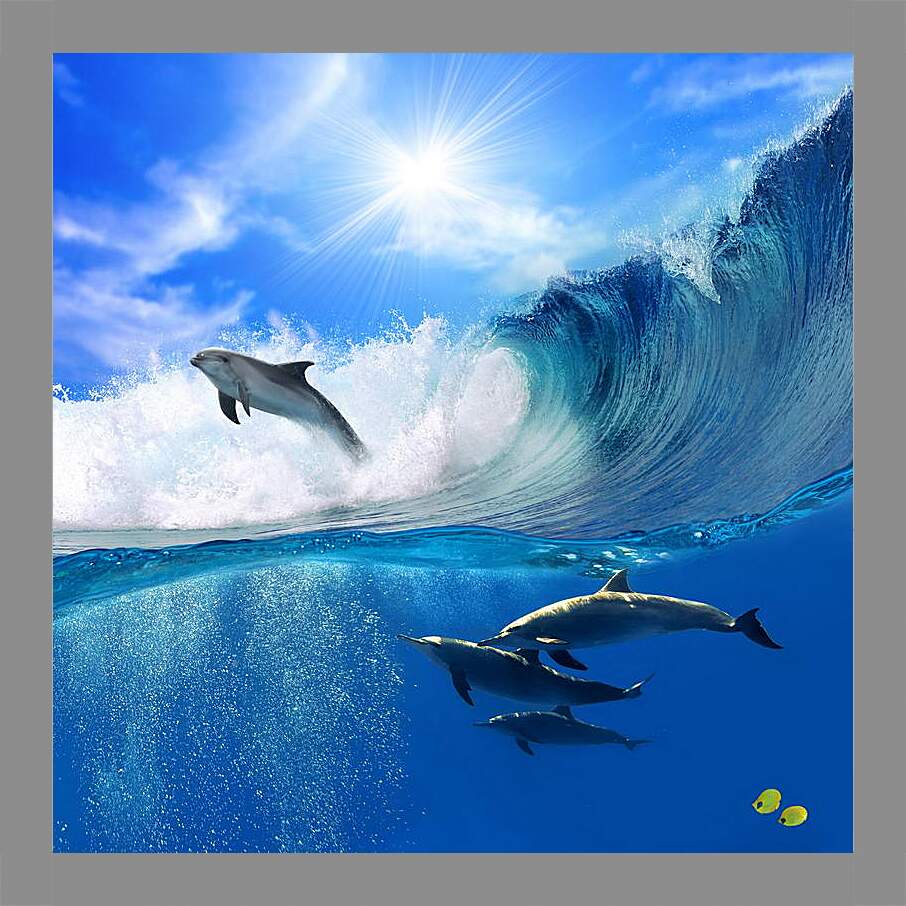 Картина в раме - Дельфины на волнах
