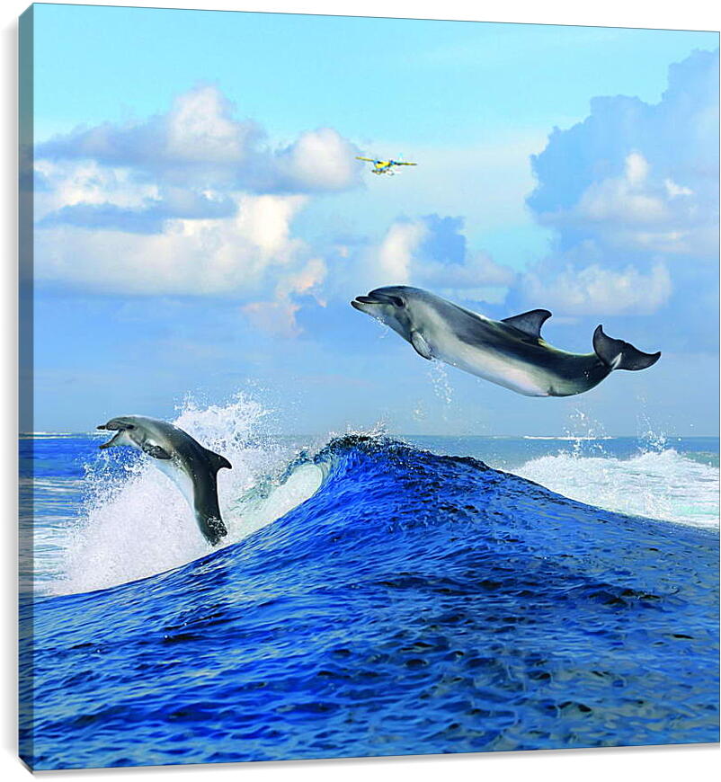 Постер и плакат - Полет дельфина
