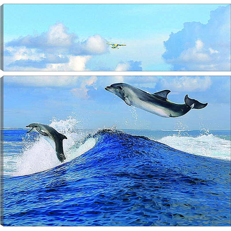 Модульная картина - Полет дельфина
