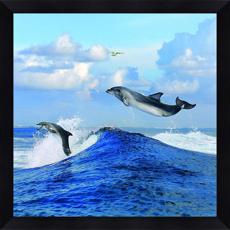 Картина в раме - Полет дельфина
