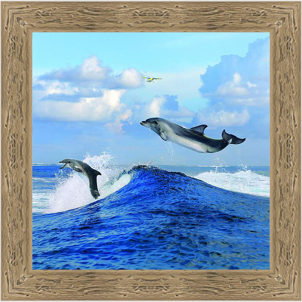Картина в раме - Полет дельфина

