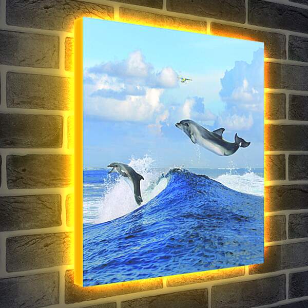 Лайтбокс световая панель - Полет дельфина
